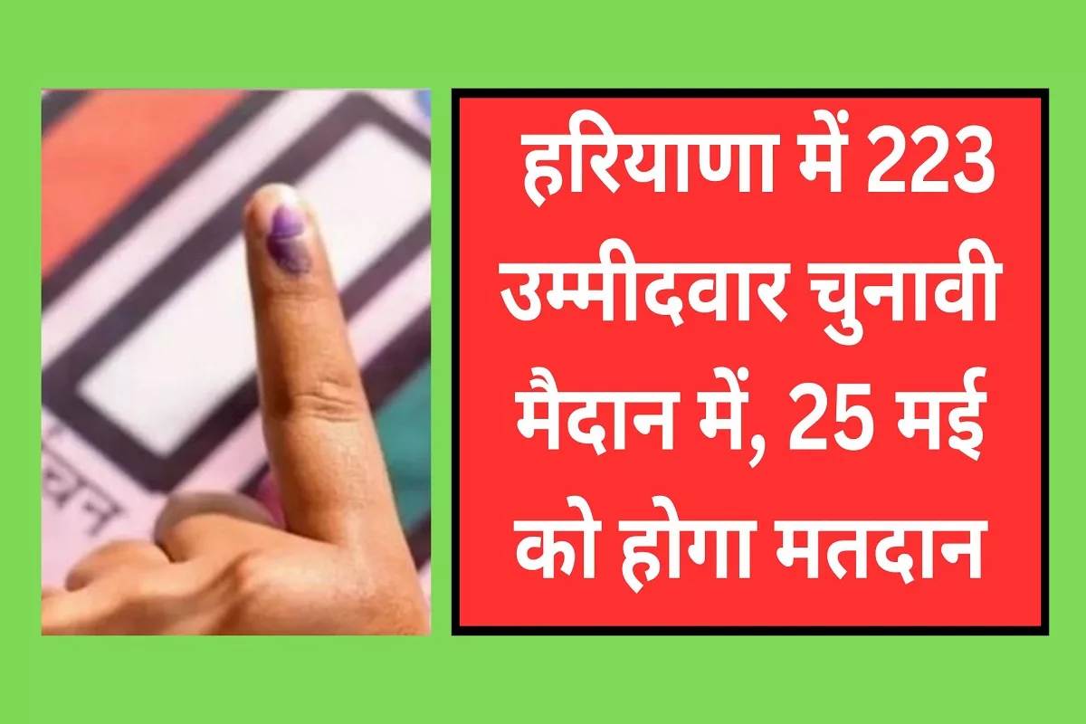 Loksabha Election 2024; 223 candidates are in the electoral fray in Haryana, voting will be held on May 25.