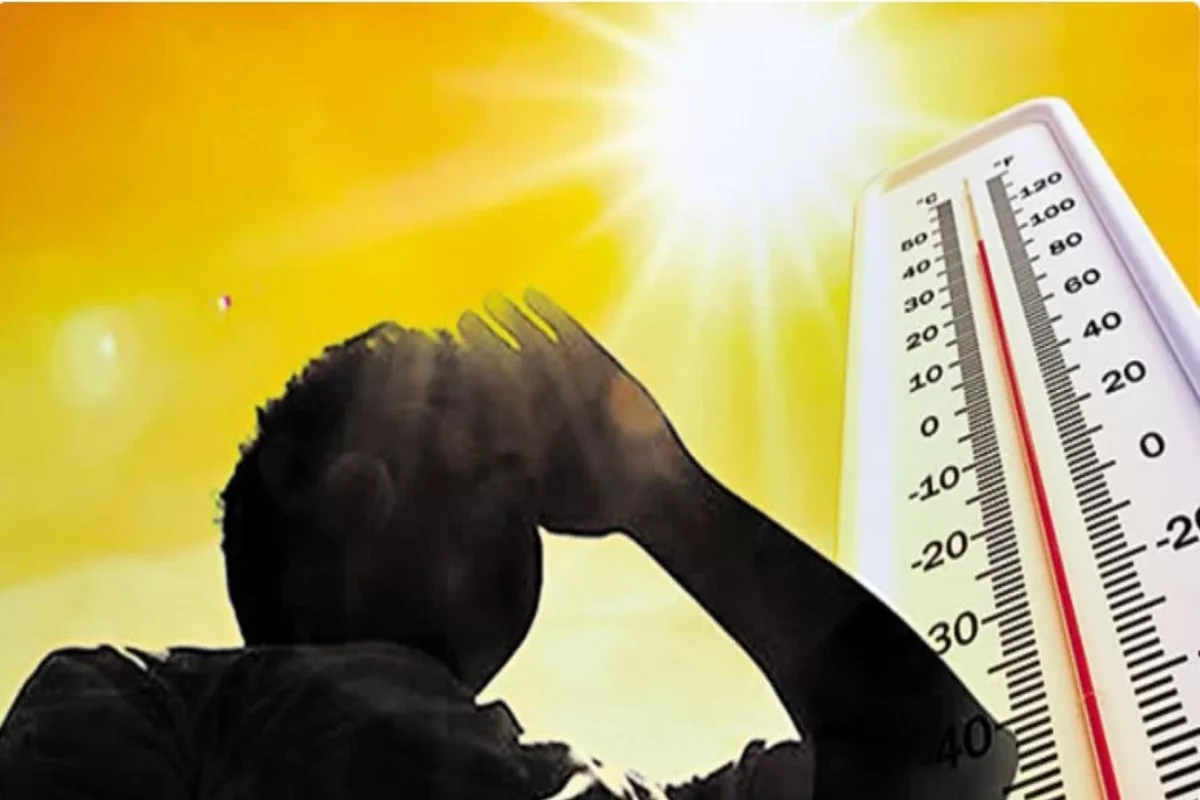 Heat waves in Haryana Haryana weather updates maximum temperature